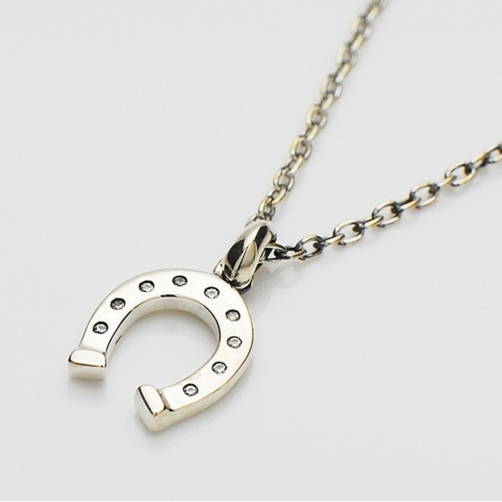 Horseshoe Necklace